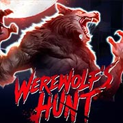 WAREWOLFS HUNT