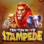 TEN TON WAYS STAMPEDE