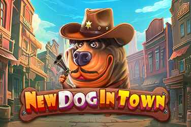 NEW DOG IN TOWN